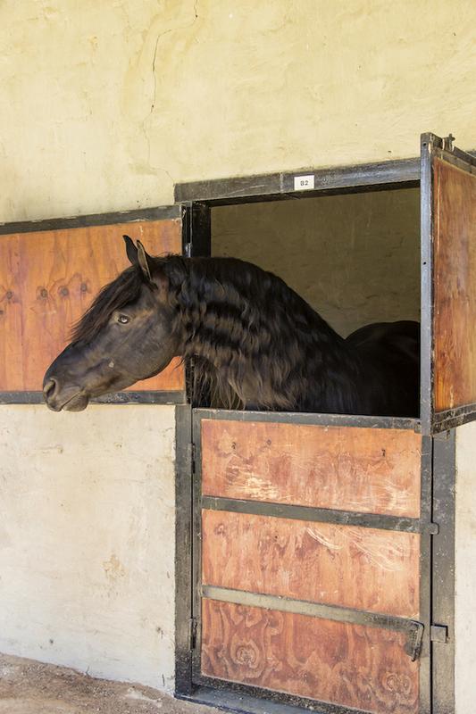 Commercial Property for Sale in Parys Free State